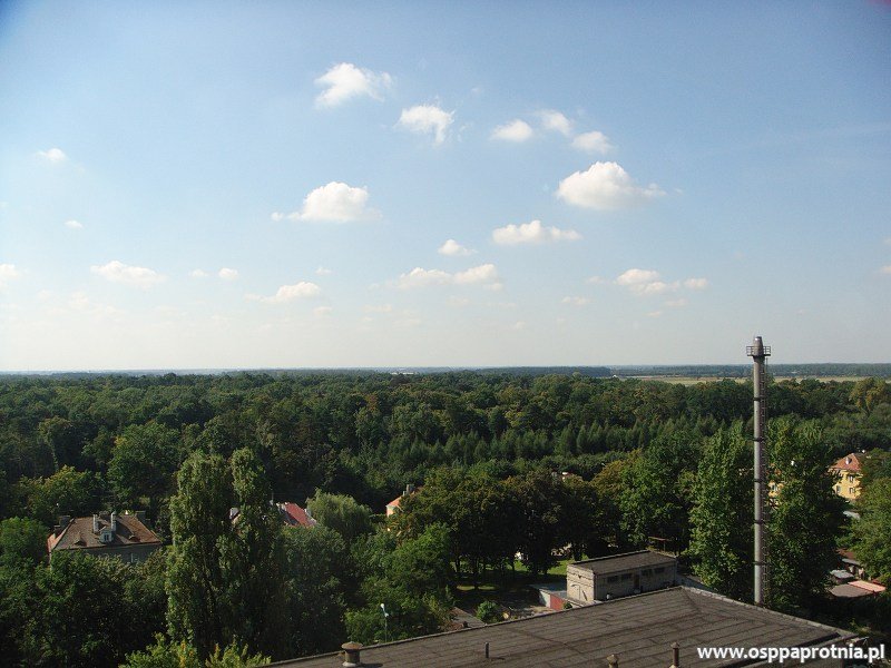 Ćwiczenia w młynie