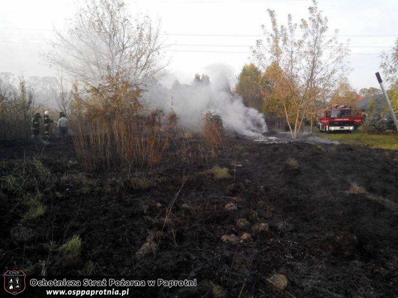 Pożar w miejscowości Maszna