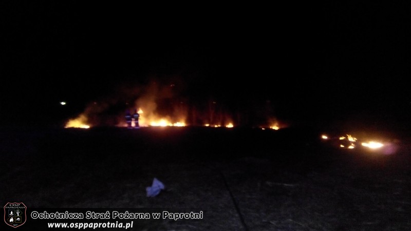 Pożar trawy Gnatowice 