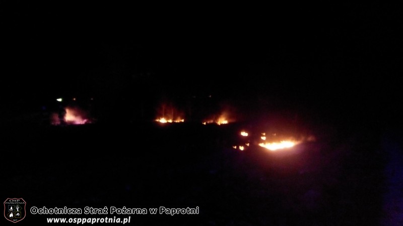 Pożar trawy Gnatowice 