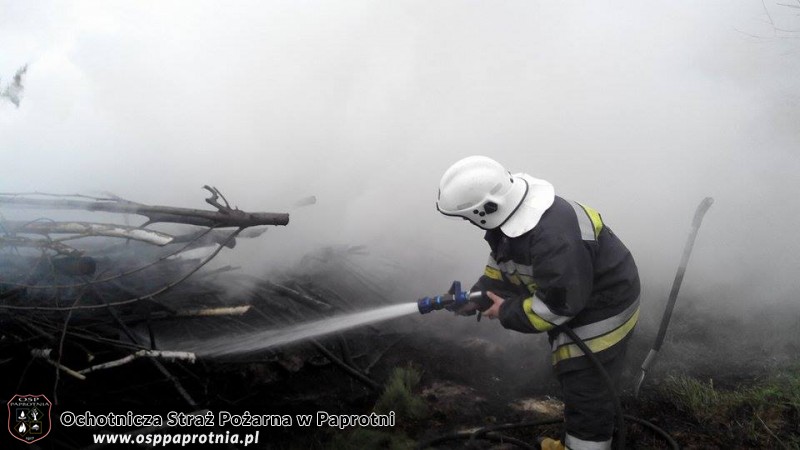  Pożar gałęzi w Paprotni 