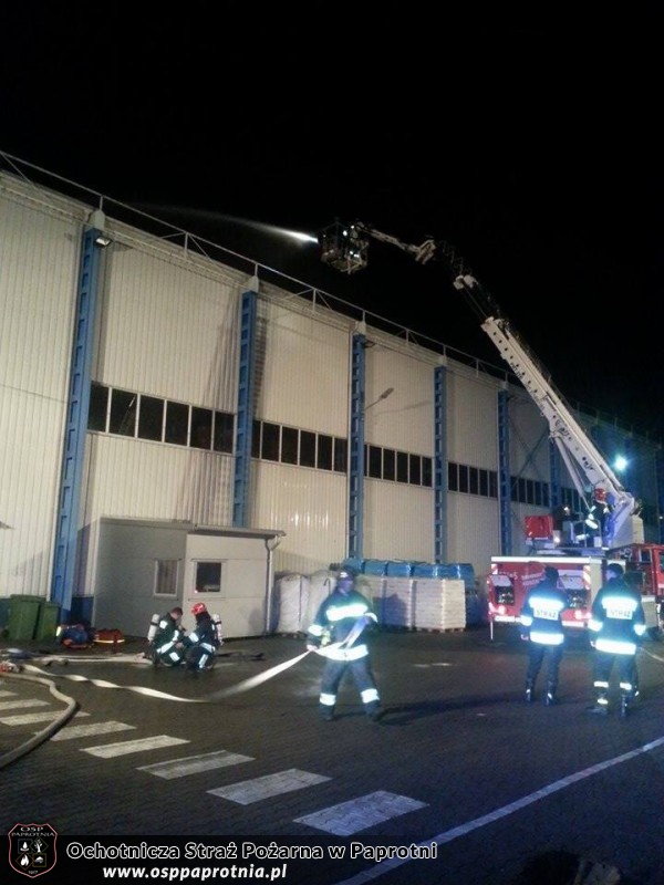 Ćwiczenia na Greiner Packaging