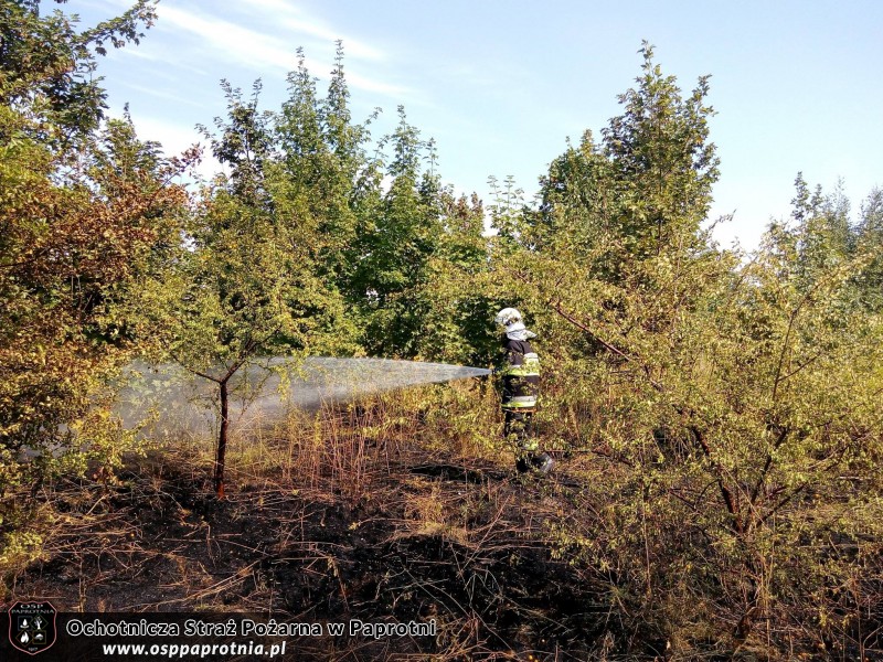  Pożar w Czerwonka Parcela 