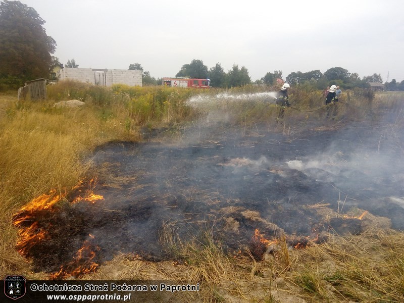 Pożar suchej trawy w Serokach