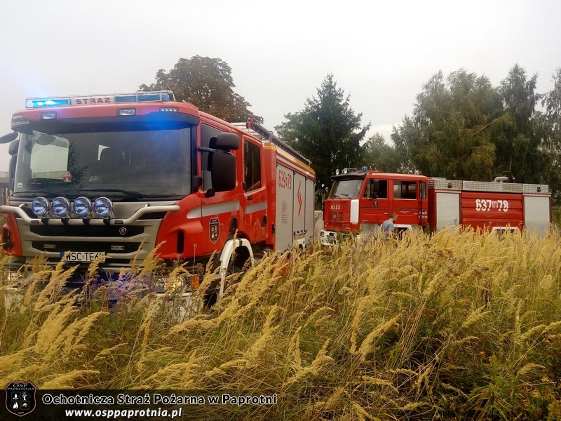 Ćwiczenia Trenażer rozgorzeniowy