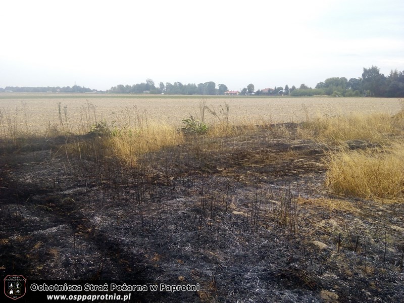 Ćwiczenia Trenażer rozgorzeniowy