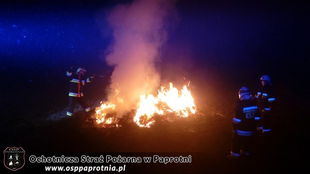 Pożar suchych traw i trzcinowiskw miejscowośći Famułki Brochowskie