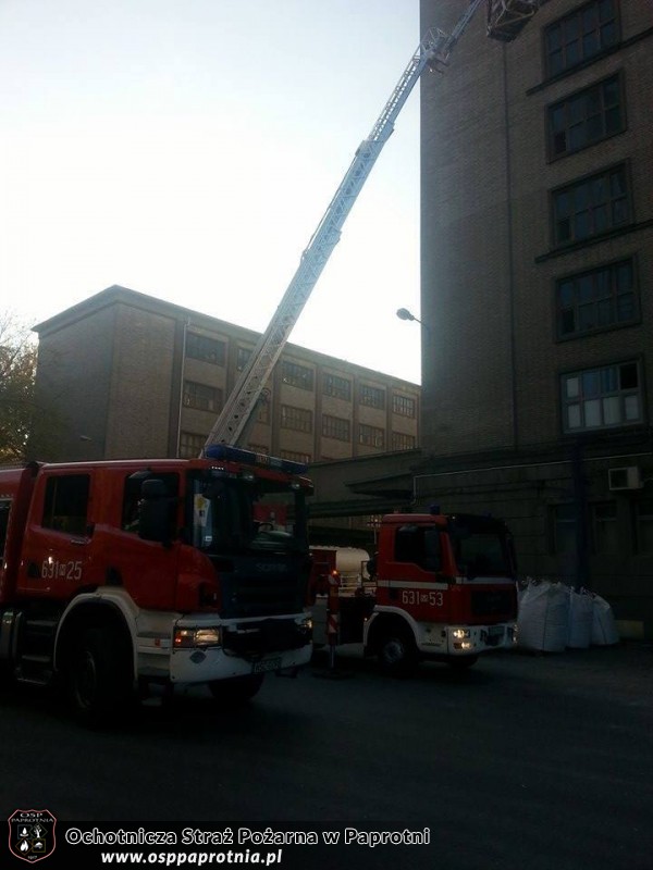 Cwiczenia na obiekcie POLSKIE MŁYNY