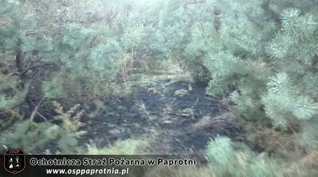 Pozar w Gawartowej Woli