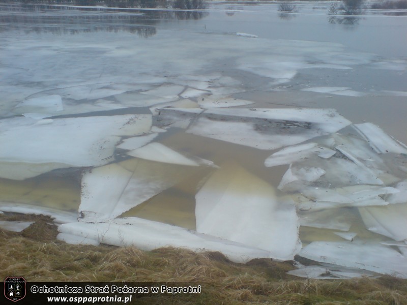 Umocnienie wałów w Kamionie