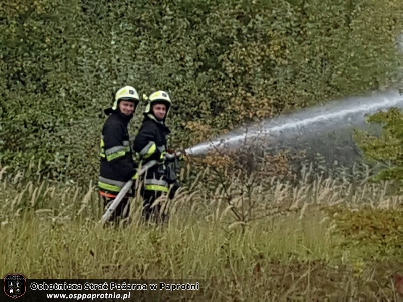 Ćwiczenia „Zalew 2016”na zbiorniku wodnym w Sochaczewie.
