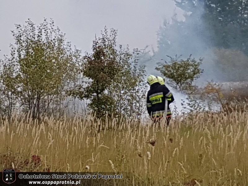 Ćwiczenia „Zalew 2016”na zbiorniku wodnym w Sochaczewie.