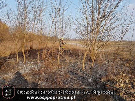 Pożar Trawy Pawłowice 