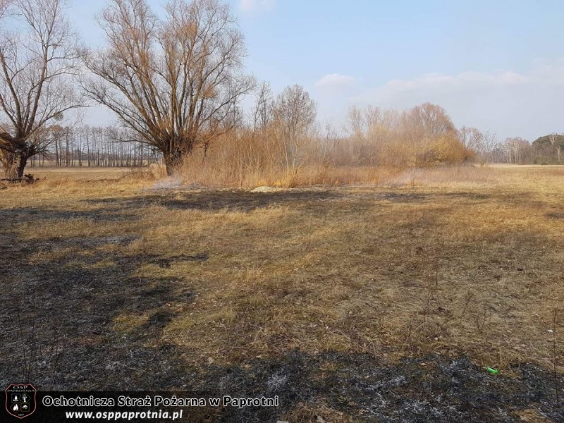 Pożar Trawy Pawłowice 