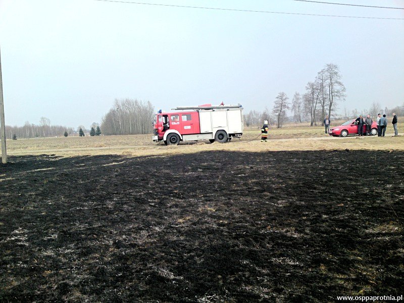 Pożar trawy w Paskach