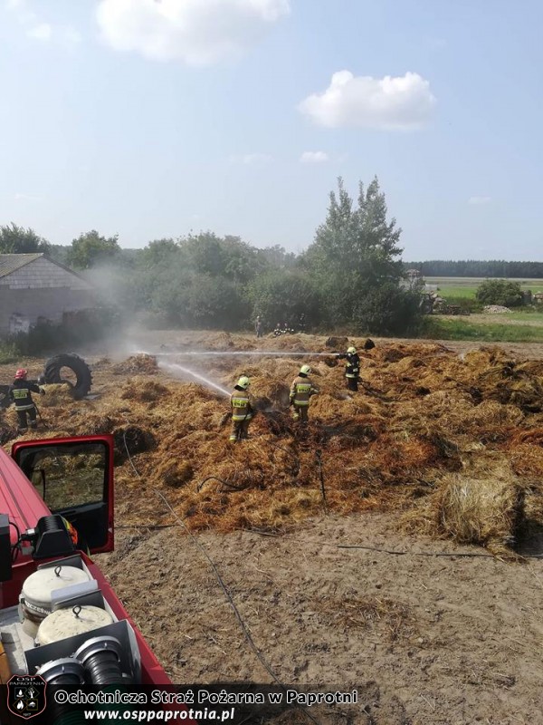 Pożar w Złotej, gm. Rybno