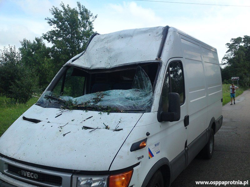 Przewrócone drzewo w Masznie