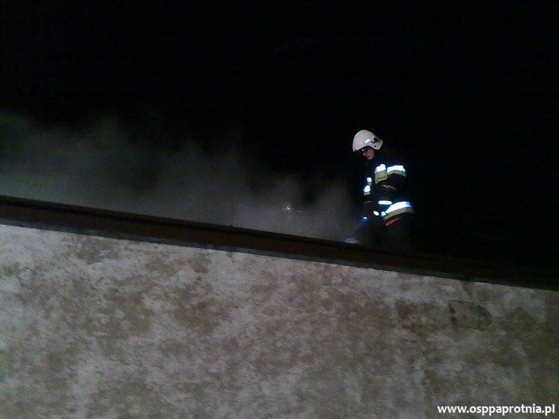 Pożar budynku gospodarczego w Ludwikowie