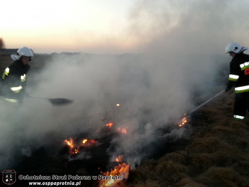 Pożar trawy na Masznie