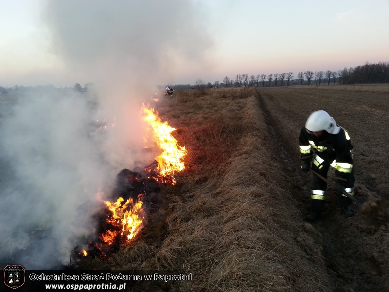 Pożar trawy na Masznie