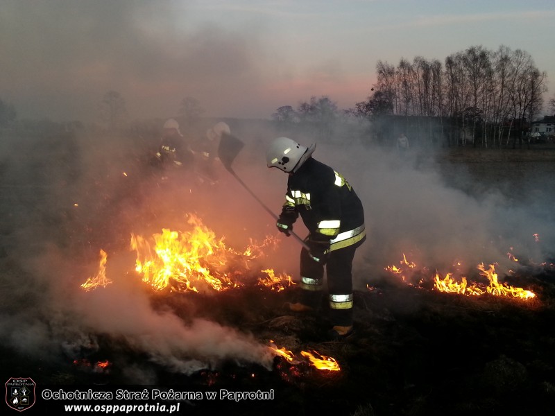 Pożar trawy na Masznie