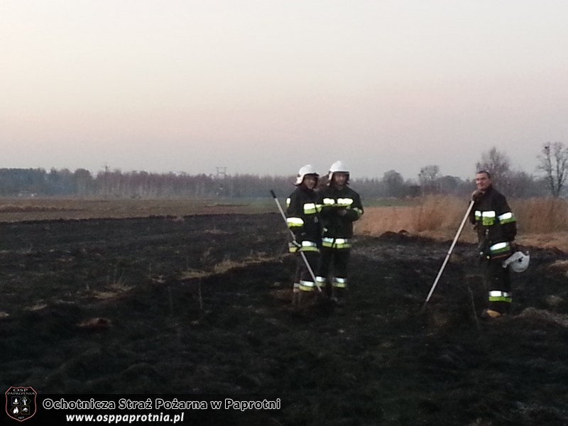 Pożar trawy na Masznie