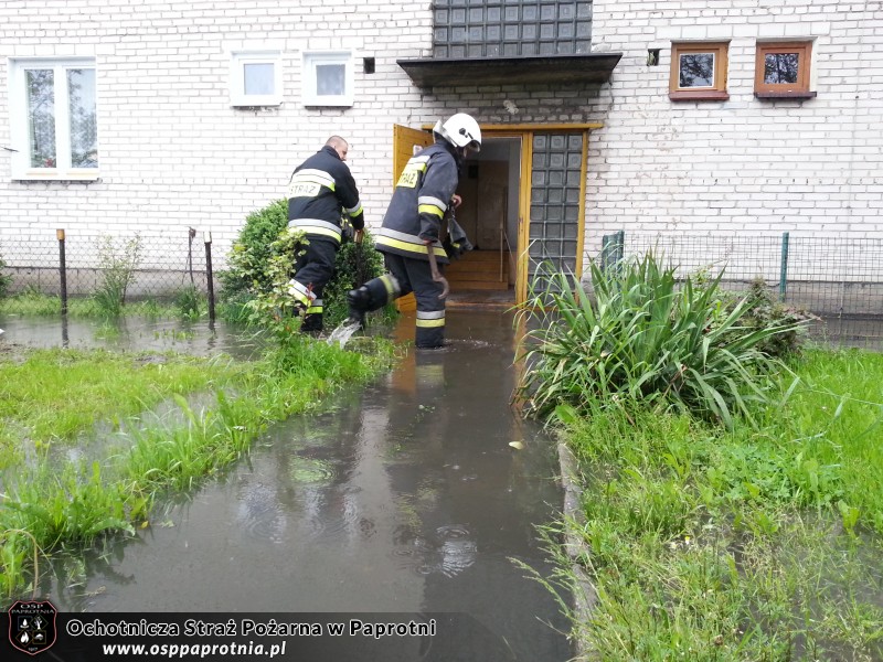 Podtopiony teren w Elżbietowie