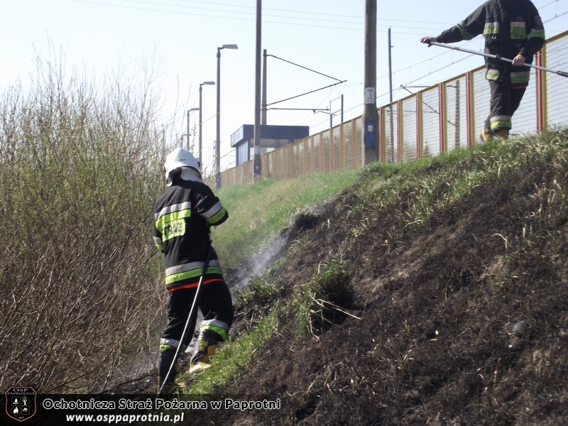 Pożar trawy przy stacji PKP Seroki