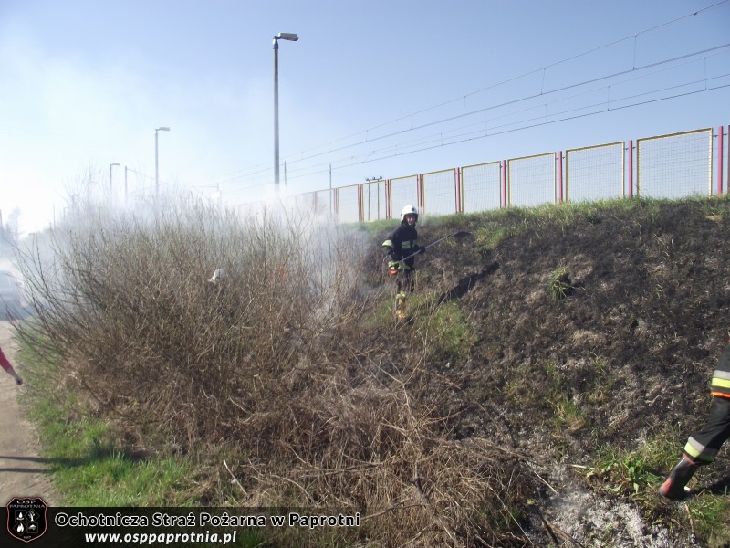 Pożar trawy przy stacji PKP Seroki
