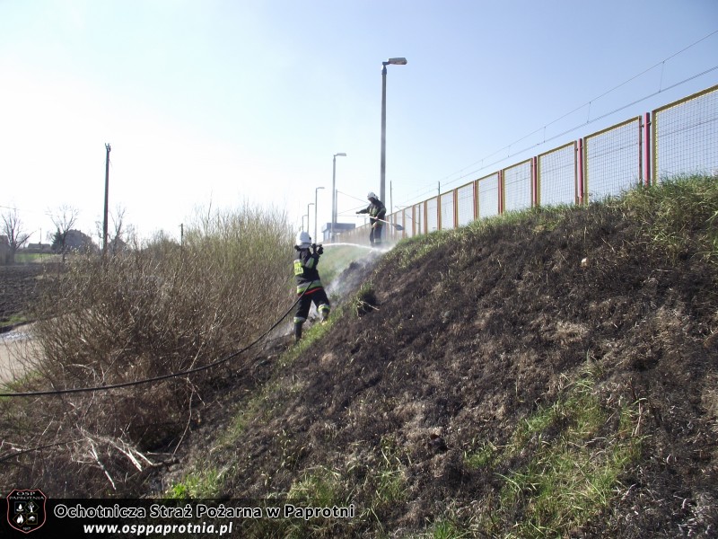 Pożar trawy przy stacji PKP Seroki