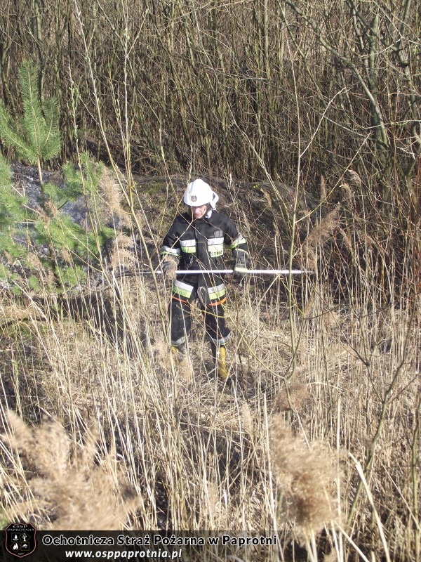 Pożar trawy Nowe Gnatowice