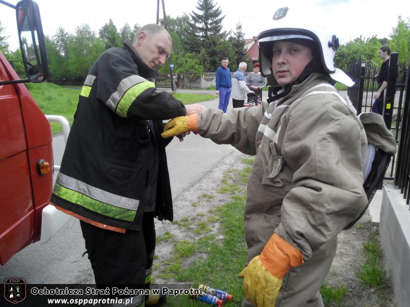 Pszczoły w Teresinie
