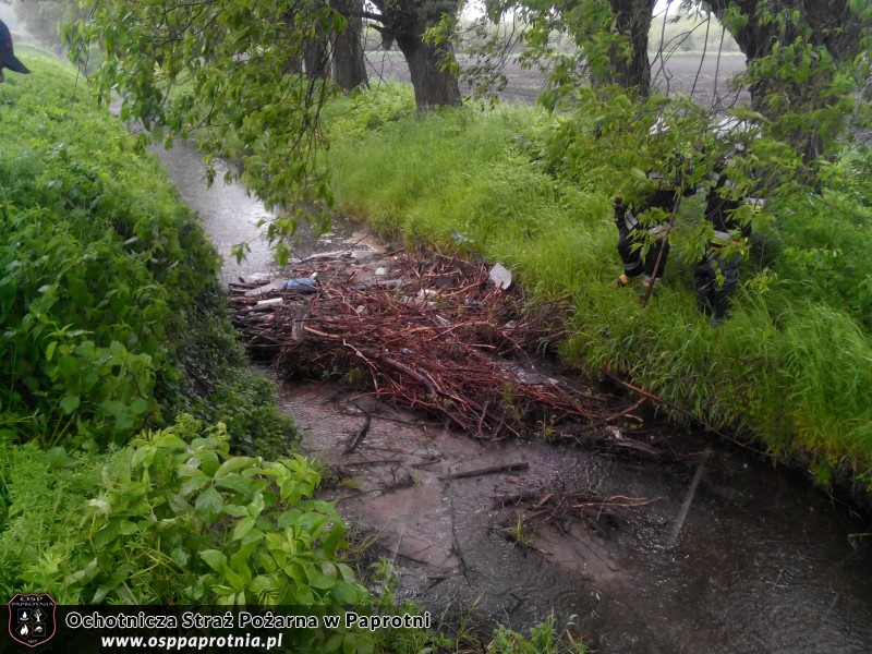 Udrożnianie rzeki w miejscowosci Serokii