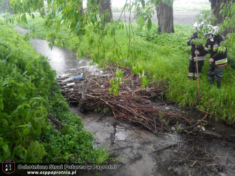 Udrożnianie rzeki w miejscowosci Serokii